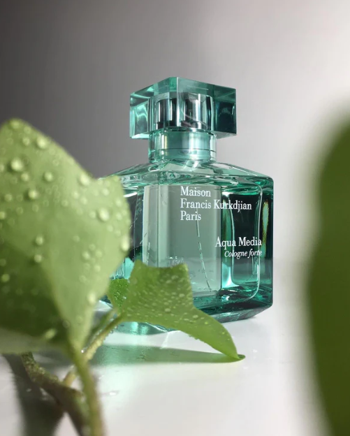 Aqua Media Cologne forte  - Eau de Parfum